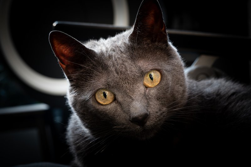 Fotografie Highlight