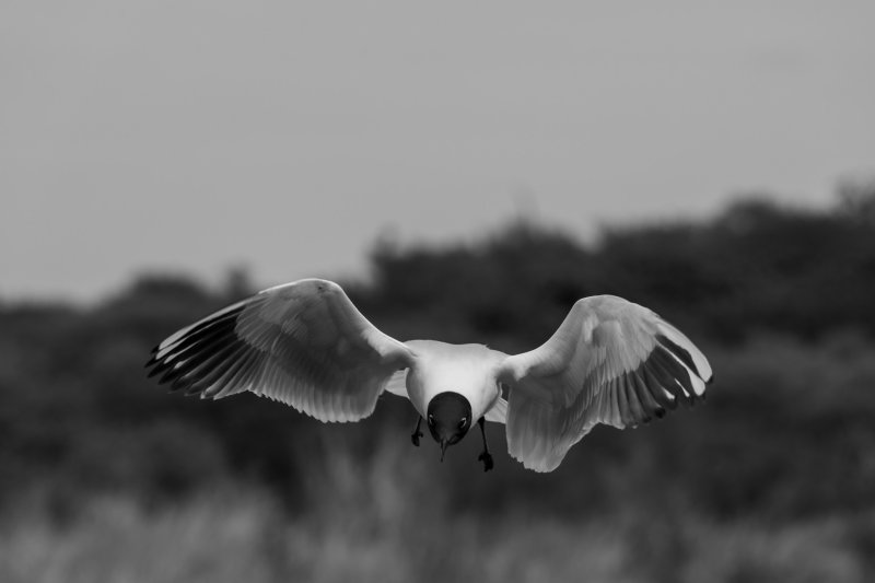 Fotografie Highlight